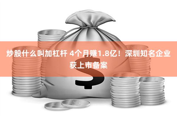 炒股什么叫加杠杆 4个月赚1.8亿！深圳知名企业获上市备案