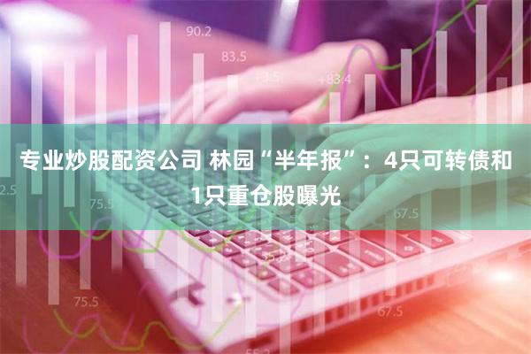 专业炒股配资公司 林园“半年报”：4只可转债和1只重仓股曝光