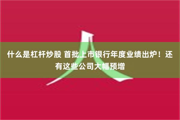 什么是杠杆炒股 首批上市银行年度业绩出炉！还有这些公司大幅预增