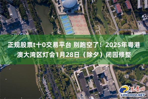 正规股票t十0交易平台 别跑空了！2025年粤港澳大湾区灯会1月28日（除夕）闭园修整